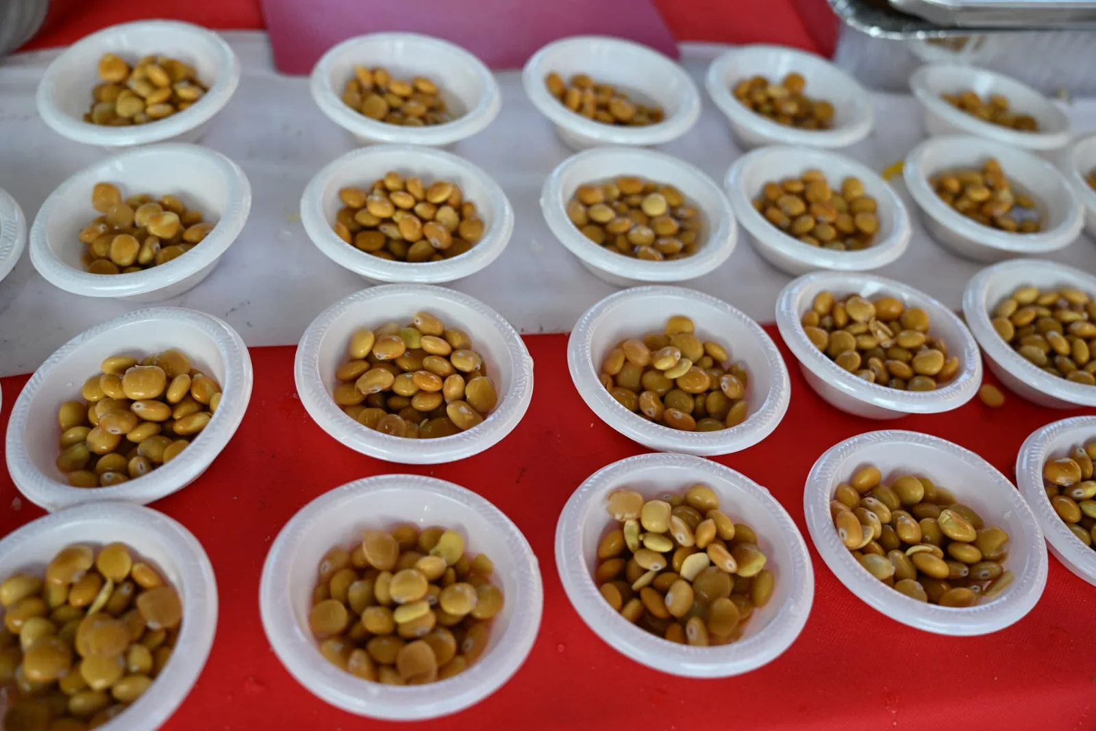 Rows of small bowls of lupini beans ready to serve